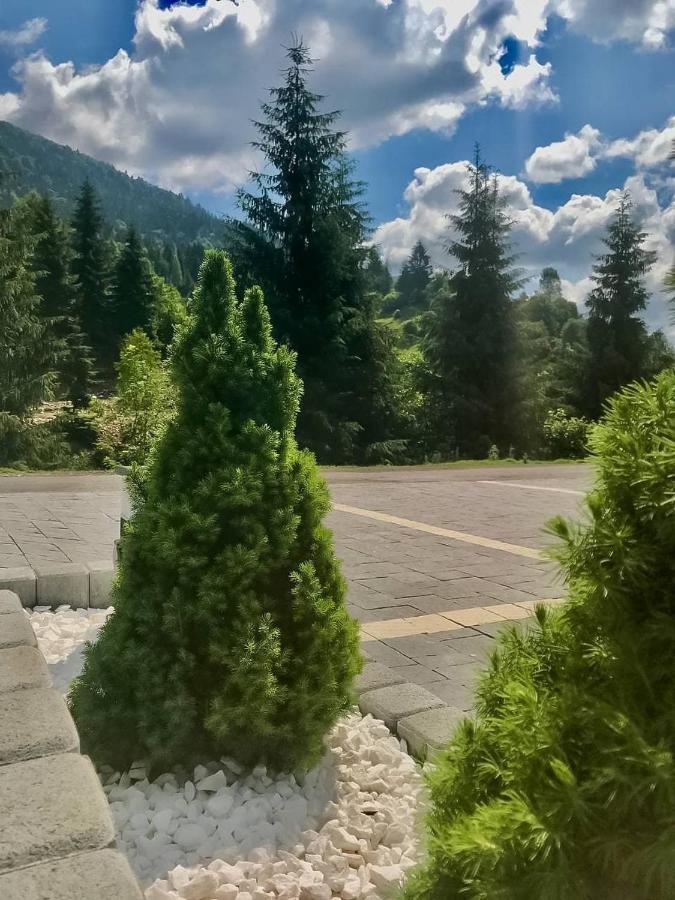 Chalet Carpat Dream Synevyr Exterior foto