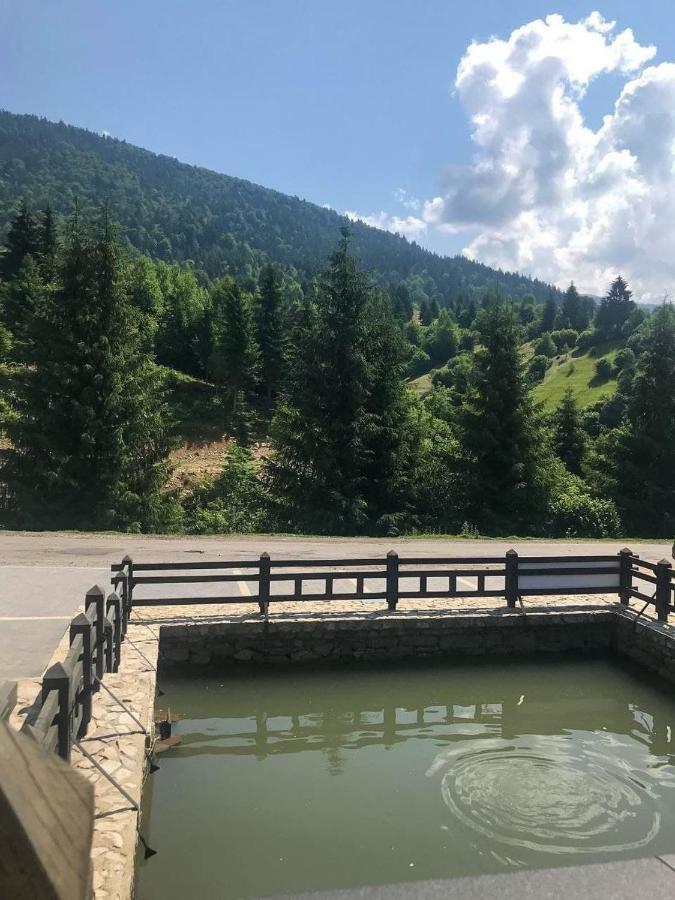 Chalet Carpat Dream Synevyr Exterior foto